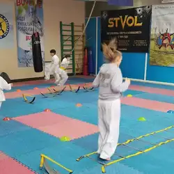 Ястреб