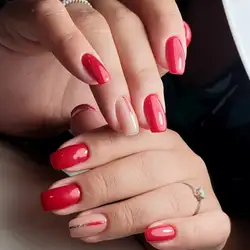 Beauty Club
