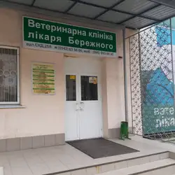 10 Друзів
