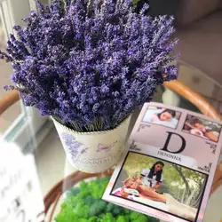 Deninna