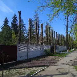 Медичний центр Імпульс