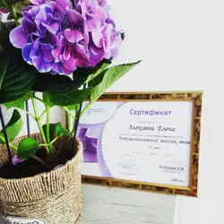 Олена Алексєєва (Миколаїв)