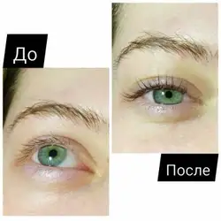 Катерина — Софіївська Борщагівка