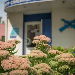 Центр сімейної медицини УЛДЦ