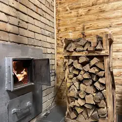 Шишкін ліс