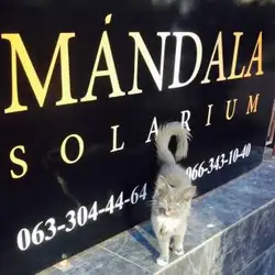 Mandala Solarium