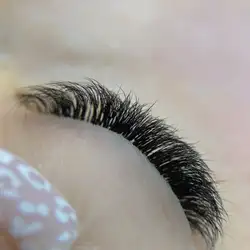 Kulakova lash