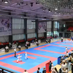 Спортклуб тхеквондо Юніор - Оболонський