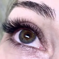 Art Lash