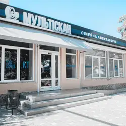 Мультіскан
