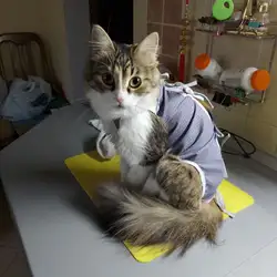 Ветдоктор 24