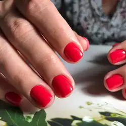 Чарівна — Харків