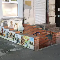 Ваш Друг