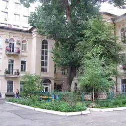 Курсор - Жилянська